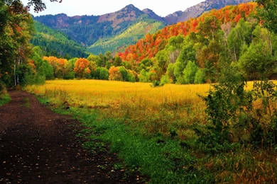 Provo Canyon Fall Colors Computer Wallpapers, Desktop Backgrounds ...