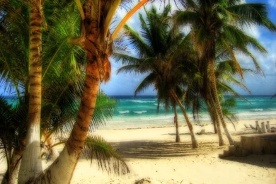 Wallpapers: August 2011