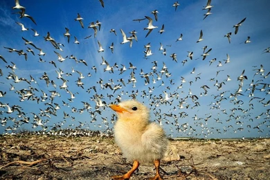 Most Beautiful And Amazing Creations Of The World Best Ever ...