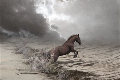 Amazing Photo Collection From Around The World   Amazing Photos ...