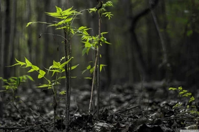 Most Beautiful Places In The World Wallpapers   HD Widescreen ...