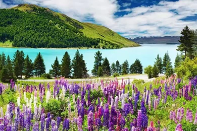 100 Wallpapers Of Animals And Nature Of Our Beautiful World   Most ...