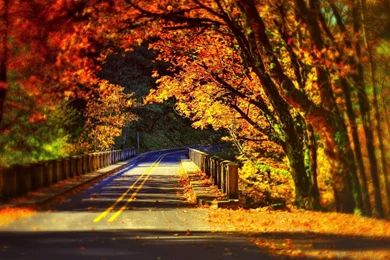 Leaves Fall Colorful Autumn Road Bridge Wallpapers