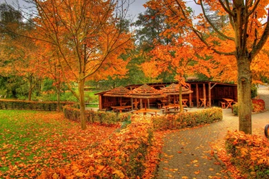 Landscapes Autumn Fall Color Wallpapers
