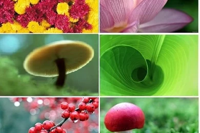 Cool HD Nature Desktop Wallpapers Pack For Windows 7