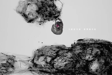 KaKi Creation » Wallpapers