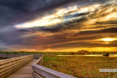 Green Nature Wallpapers