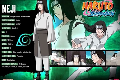 Wallpapers Digital Cute: Naruto: Neji   Photo Gallery