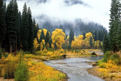 Wildlife Scenery Wallpapers 31 Backgrounds Hdnaturewall.com