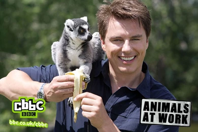 Doctor Who Universe On Pinterest