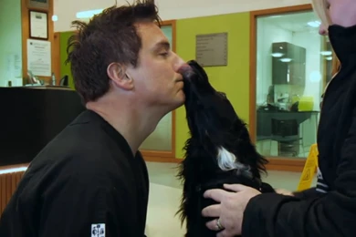 John Barrowman Small Animal Hospital   John Barrowman Photo ...