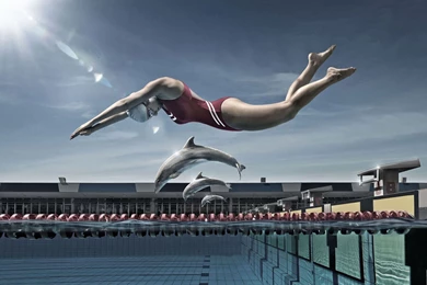 Swimming With Dolphins, Swimmer, Pool, Artistic, 1920x1200 HD ...