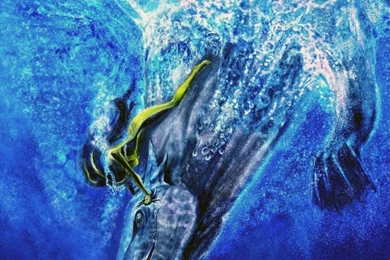 Swimmer Wallpapers And Images   Wallpapers, Pictures, Photos