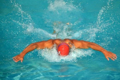 MUSCULAR SWIMMER WALLPAPER (