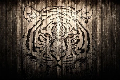 Tigre Wallpapers By Nick9x9 On DeviantArt