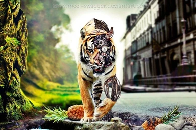 Wallpapers Abstracto TIGRE By MeeL Swagger On DeviantArt