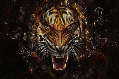 Other: Tigre Animals Cat Wild Amazing 3d Backgrounds Ctrc7tgv Full ...
