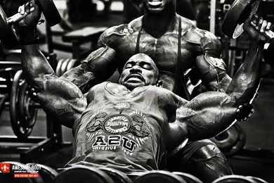 Wallpapers Of Body Builder Wallpapers Cave