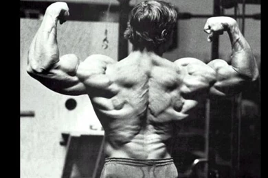 Wallpapers Bodybuilder Arnold Schwarzenegger Bodybuilders ...