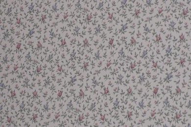 Ugly Wallpapers   Wallpapers Cave