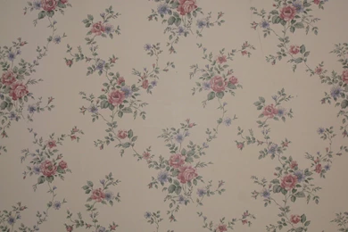 Ugly Wallpapers   Wallpapers Cave