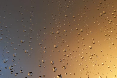 Rain Drops On Window Wallpapers :: HD Wallpapers