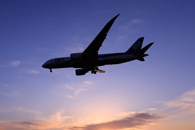 ANAオリジナル IPad壁紙｜ANA SKY WEB TOUR