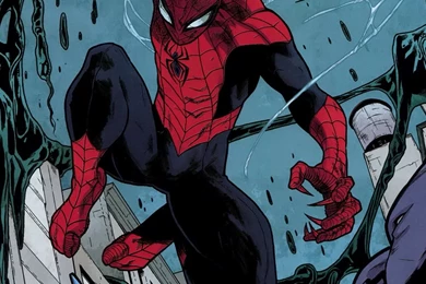 Spider Man Computer Wallpapers, Desktop Backgrounds