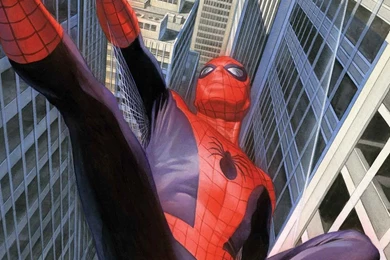 Spider Man Mobile Wallpapers