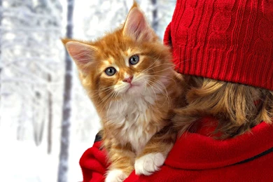 1920x1200px Sweet Love Images For Desktop