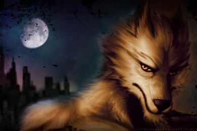 Wolf Wallpapers By Saimensez On DeviantArt