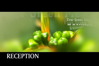 FREE PHOTOSHOP BACKGROUNDS HIGH RESOLUTION WALLPAPERS & TEMPLATES ...