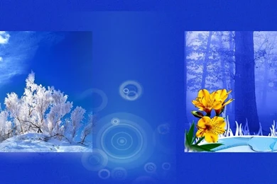 FREE PHOTOSHOP BACKGROUNDS HIGH RESOLUTION WALLPAPERS & TEMPLATES ...