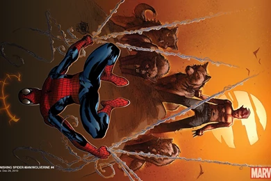 Amazing Spider Man 638 Wallpapers » WallDevil   Best Free HD ...