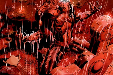 Spider Man Mobile Wallpapers 14311