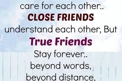 40 Best Friendship Quotes For True Friends