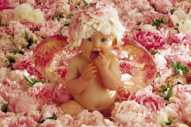 Cute Wallpapers Download Free 1.jpg