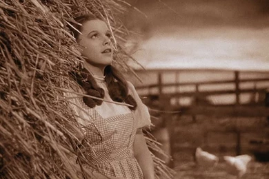 Bird Watching In Dorothy Gale's Oz   Signature Reads