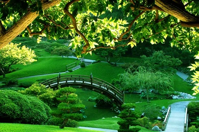 Top Beautiful Wallpaper Images