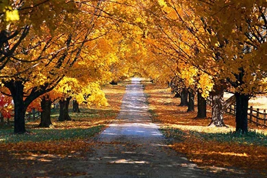 Backgrounds Scenery Images   Wallpapers HD Base