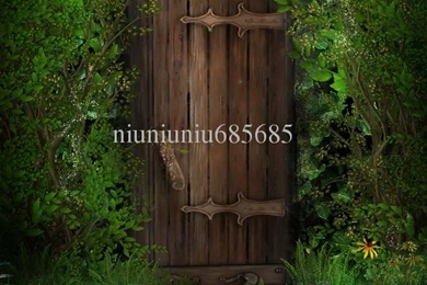 Vinyl Outdoor Scenery Custom Photography Prop Photo Backgrounds ...