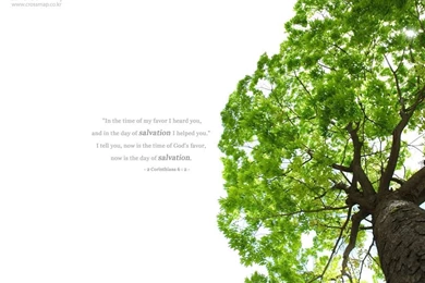 Scenery Wallpapers With Bible Verses 1024x768 NO.32 Desktop ...