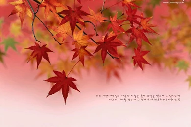 Christian Wallpapers With Bible Verses 1024x768 NO.10 Desktop ...