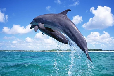 All Beautiful Wallpapers   Desktop Backgrounds