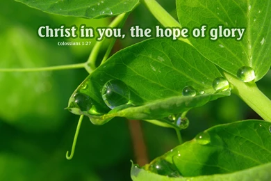 Free Bible Desktop Backgrounds   Nature And Bible