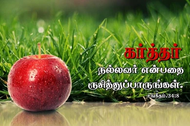 Download HD New Year 2016 Bible Verse Greetings Card & Wallpapers ...