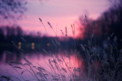 Beautiful HD S Mac Wallpapers