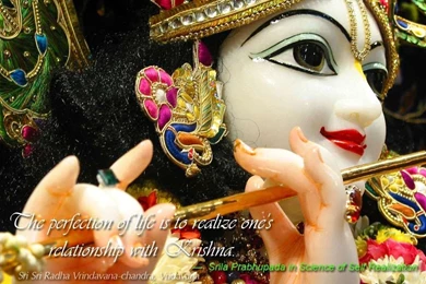 43875_FileSize 420x530 53k god desktop wallpaper krishna_1024x768.jpg