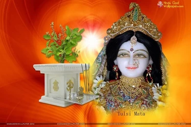 Tulsi Mata Wallpapers, Photos & Images Free Download