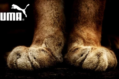 Sports Logo Wallpapers   Wallpapers Cave